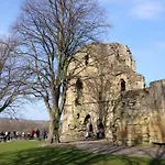 The Herons
