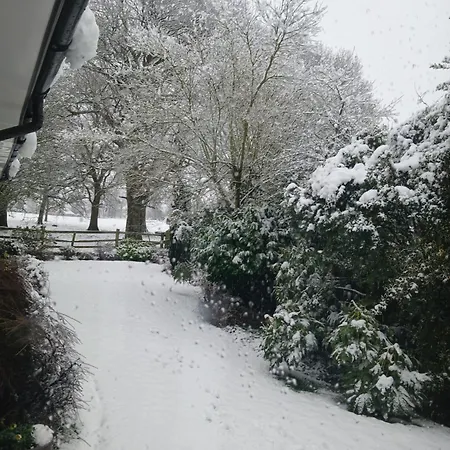 The Herons 公寓 戈尔兹伯勒