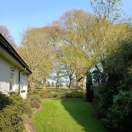 The Herons 戈尔兹伯勒