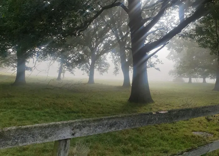 Apartament The Herons Goldsborough