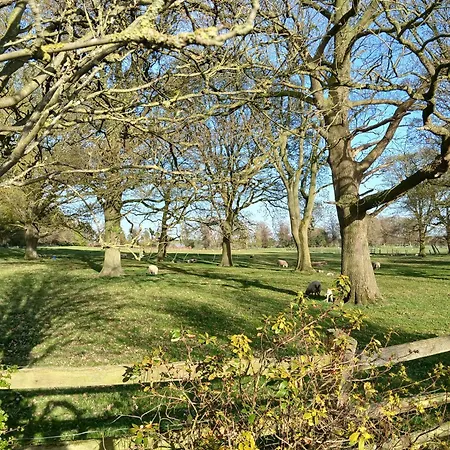 The Herons Goldsborough