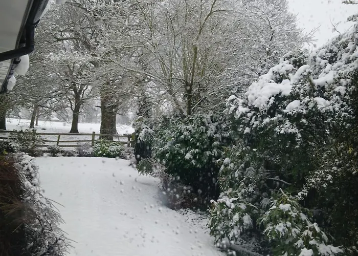 The Herons アパート Goldsborough