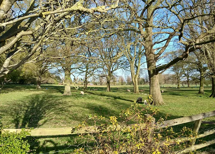 The Herons Goldsborough